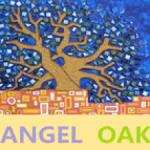 Angel Oak Investment Limited