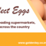Crop Farm Manager