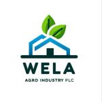 Human Resource Manager (HRM)