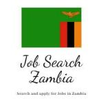 Technical Business Development Executive 