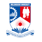 Public Administration Lecturer