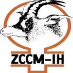 ZCCM Investment Holdings Plc